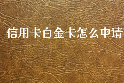 信用卡白金卡怎么申请_https://wap.fcdydaikuan.com_期货品种_第1张