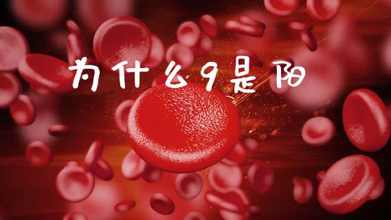 为什么9是阳_https://wap.fcdydaikuan.com_金融机构_第1张