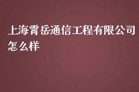 上海霄岳通信工程有限公司怎么样_https://wap.fcdydaikuan.com_理财顾问_第1张
