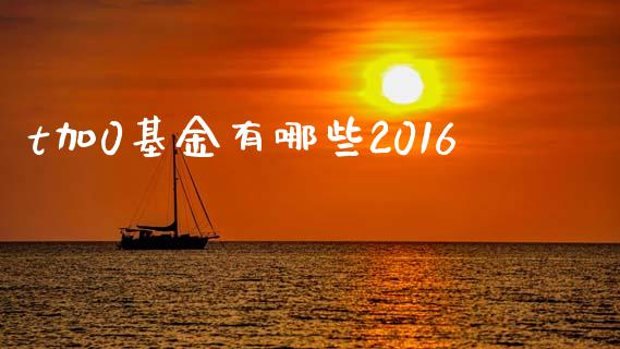 t加0基金有哪些2016_https://wap.fcdydaikuan.com_新股数据_第1张