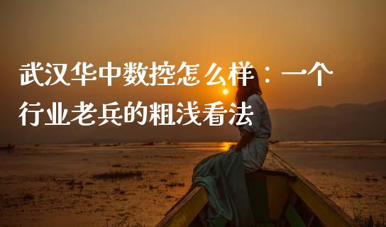 武汉华中数控怎么样：一个行业老兵的粗浅看法_https://wap.fcdydaikuan.com_金融机构_第1张