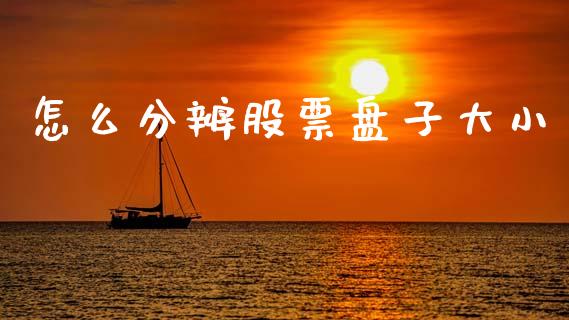 怎么分辨股票盘子大小_https://wap.fcdydaikuan.com_国际投资_第1张