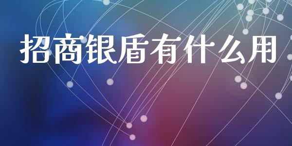招商银盾有什么用_https://wap.fcdydaikuan.com_理财顾问_第1张