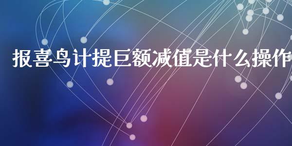报喜鸟计提巨额减值是什么操作_https://wap.fcdydaikuan.com_新股数据_第1张