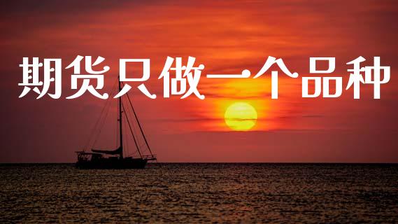 期货只做一个品种_https://wap.fcdydaikuan.com_新股数据_第1张