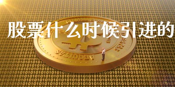 股票什么时候引进的_https://wap.fcdydaikuan.com_理财顾问_第1张