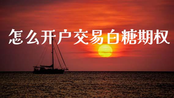 怎么开户交易白糖期权_https://wap.fcdydaikuan.com_理财顾问_第1张
