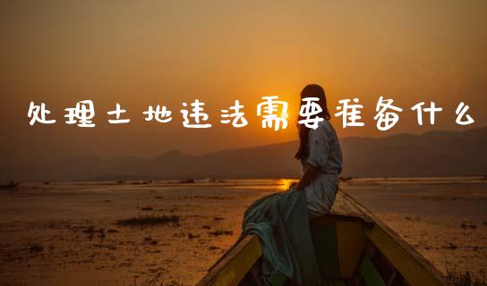 处理土地违法需要准备什么_https://wap.fcdydaikuan.com_投资策略_第1张