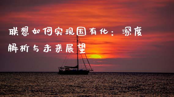 联想如何实现国有化：深度解析与未来展望_https://wap.fcdydaikuan.com_金融机构_第1张
