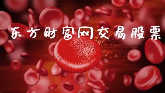 东方财富网交易股票_https://wap.fcdydaikuan.com_投资策略_第1张