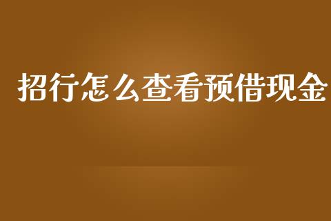 招行怎么查看预借现金_https://wap.fcdydaikuan.com_新股数据_第1张