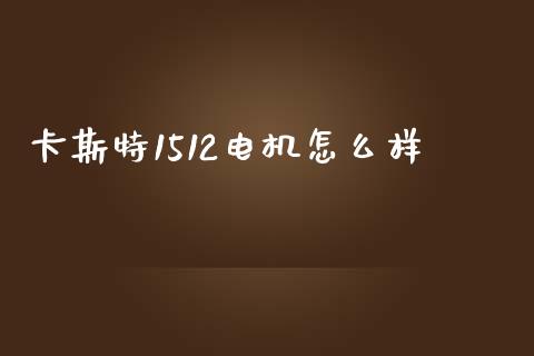 卡斯特1512电机怎么样_https://wap.fcdydaikuan.com_金融机构_第1张