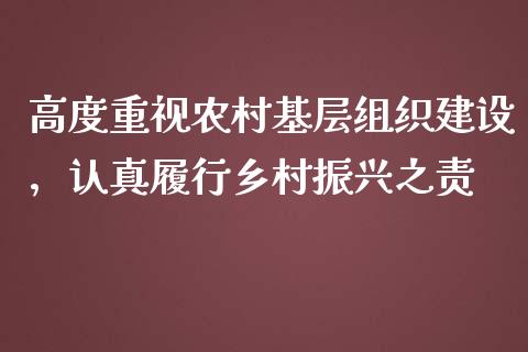 高度重视农村基层组织建设，认真履行乡村振兴之责_https://wap.fcdydaikuan.com_国际投资_第1张