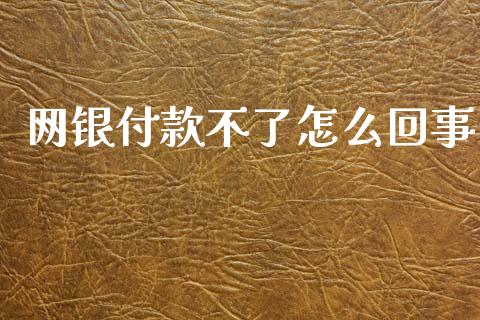 网银付款不了怎么回事_https://wap.fcdydaikuan.com_投资策略_第1张