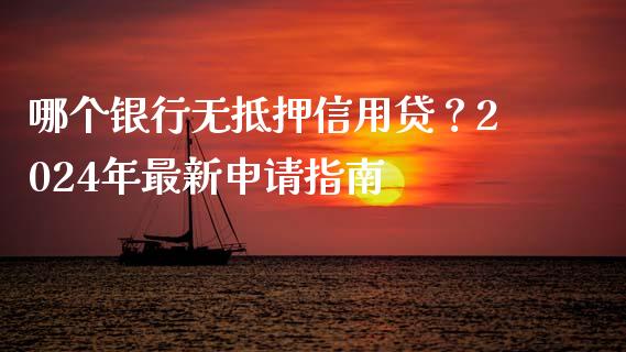 哪个银行无抵押信用贷？2024年最新申请指南_https://wap.fcdydaikuan.com_期货品种_第1张