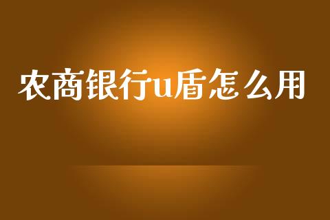 农商银行u盾怎么用_https://wap.fcdydaikuan.com_理财顾问_第1张