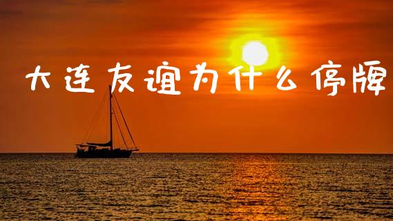 大连友谊为什么停牌_https://wap.fcdydaikuan.com_新股数据_第1张
