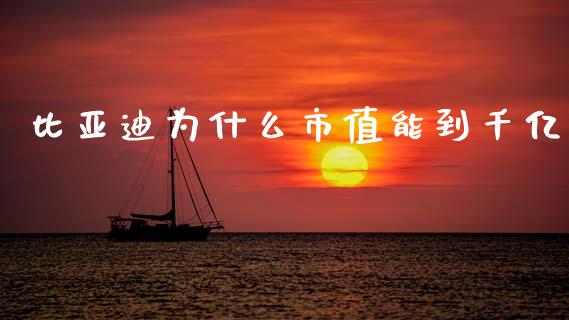 比亚迪为什么市值能到千亿_https://wap.fcdydaikuan.com_金融机构_第1张