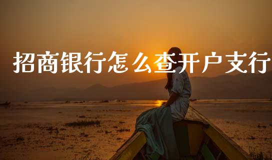 招商银行怎么查开户支行_https://wap.fcdydaikuan.com_新股数据_第1张