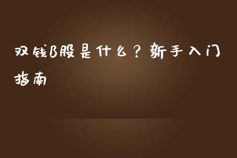 双钱B股是什么？新手入门指南_https://wap.fcdydaikuan.com_新股数据_第1张