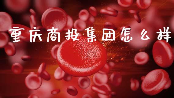 重庆商投集团怎么样_https://wap.fcdydaikuan.com_金融机构_第1张