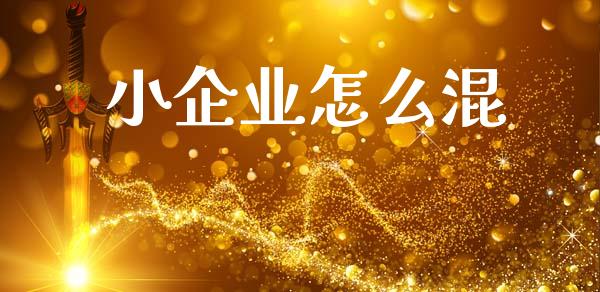 小企业怎么混_https://wap.fcdydaikuan.com_新股数据_第1张