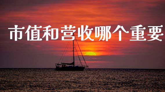 市值和营收哪个重要_https://wap.fcdydaikuan.com_金融机构_第1张