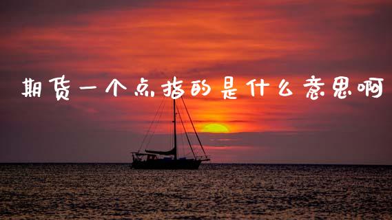 期货一个点指的是什么意思啊_https://wap.fcdydaikuan.com_理财顾问_第1张