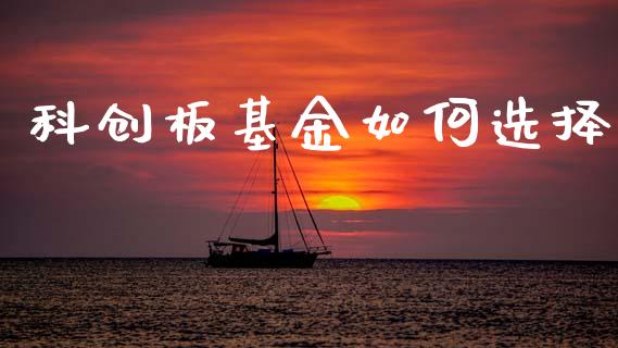科创板基金如何选择_https://wap.fcdydaikuan.com_期货品种_第1张