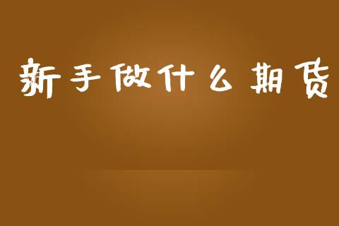 新手做什么期货_https://wap.fcdydaikuan.com_金融机构_第1张