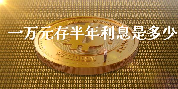 一万元存半年利息是多少_https://wap.fcdydaikuan.com_投资策略_第1张