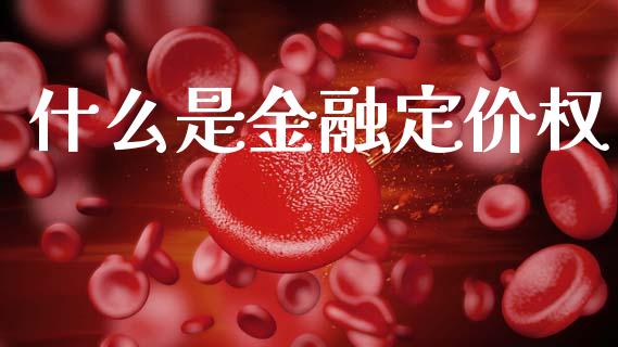 什么是金融定价权_https://wap.fcdydaikuan.com_国际投资_第1张