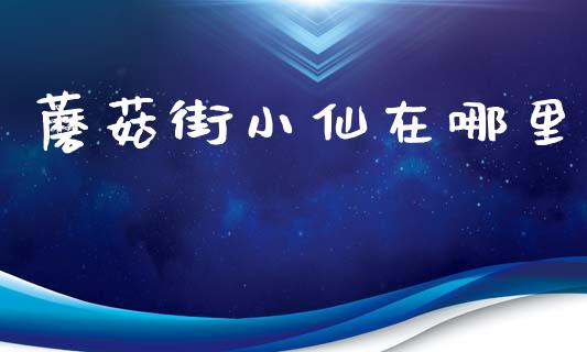 蘑菇街小仙在哪里_https://wap.fcdydaikuan.com_国际投资_第1张