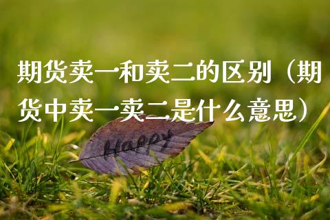 期货卖一和卖二的区别（期货中卖一卖二是什么意思）_https://wap.fcdydaikuan.com_金融机构_第1张