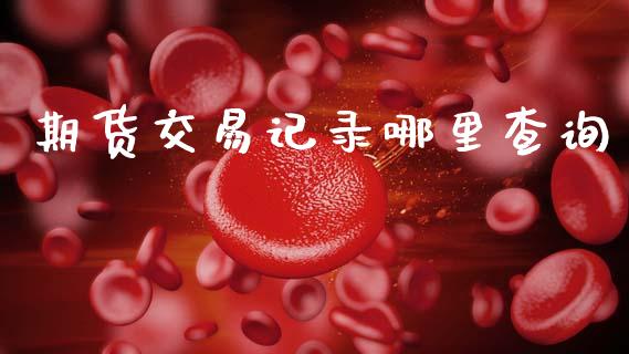 期货交易记录哪里查询_https://wap.fcdydaikuan.com_新股数据_第1张