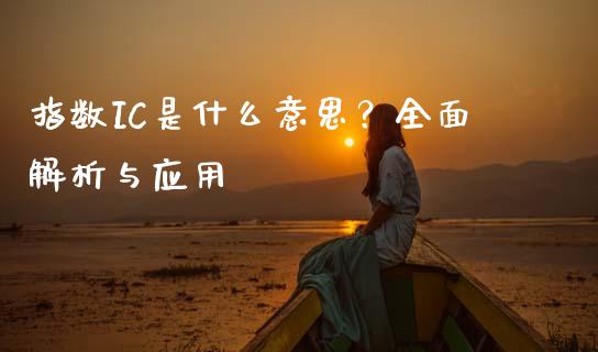 指数IC是什么意思？全面解析与应用_https://wap.fcdydaikuan.com_国际投资_第1张