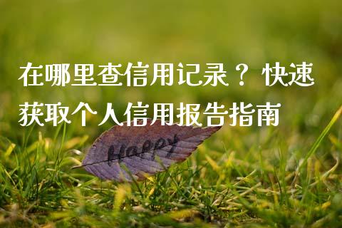 在哪里查信用记录？ 快速获取个人信用报告指南_https://wap.fcdydaikuan.com_理财顾问_第1张