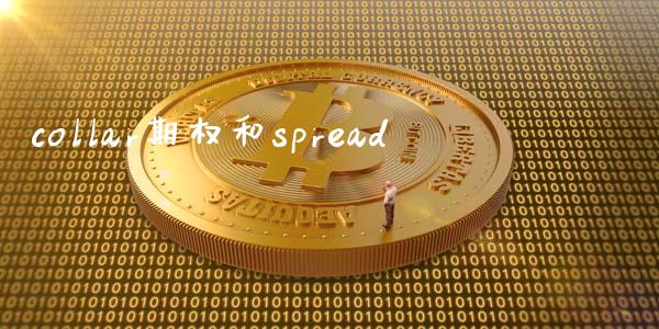 collar期权和spread_https://wap.fcdydaikuan.com_新股数据_第1张