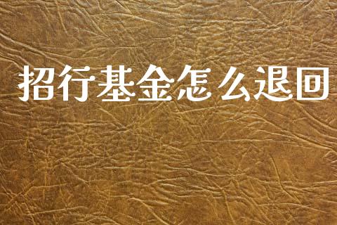 招行基金怎么退回_https://wap.fcdydaikuan.com_新股数据_第1张