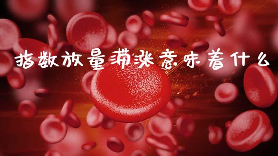 指数放量滞涨意味着什么_https://wap.fcdydaikuan.com_金融机构_第1张