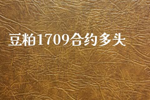 豆粕1709合约多头_https://wap.fcdydaikuan.com_投资策略_第1张