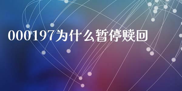 000197为什么暂停赎回_https://wap.fcdydaikuan.com_投资策略_第1张