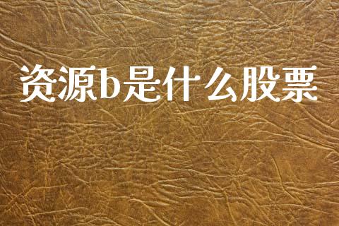 资源b是什么股票_https://wap.fcdydaikuan.com_投资策略_第1张