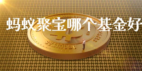 蚂蚁聚宝哪个基金好_https://wap.fcdydaikuan.com_期货品种_第1张