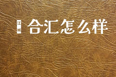鑫合汇怎么样_https://wap.fcdydaikuan.com_投资策略_第1张