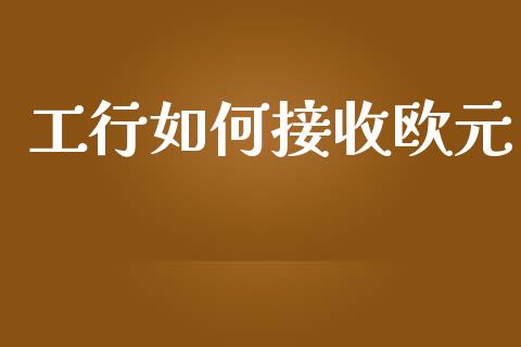 工行如何接收欧元_https://wap.fcdydaikuan.com_期货品种_第1张