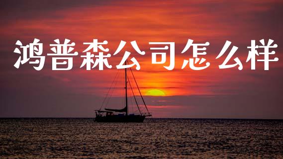 鸿普森公司怎么样_https://wap.fcdydaikuan.com_国际投资_第1张