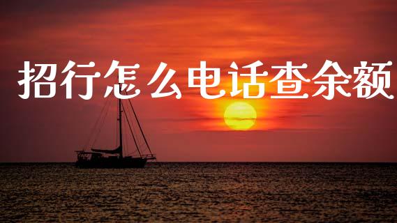 招行怎么电话查余额_https://wap.fcdydaikuan.com_期货品种_第1张