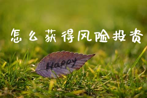 怎么获得风险投资_https://wap.fcdydaikuan.com_理财顾问_第1张