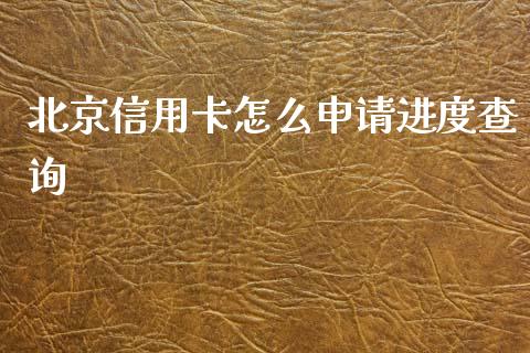 北京信用卡怎么申请进度查询_https://wap.fcdydaikuan.com_新股数据_第1张